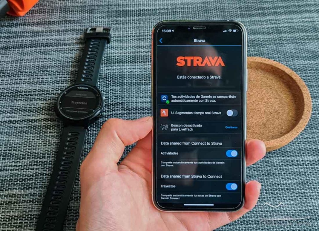 strava garmin 245