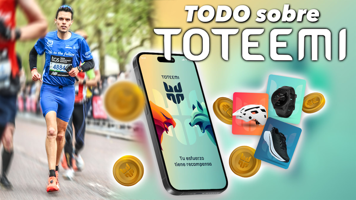 toteemi app como funcina guia